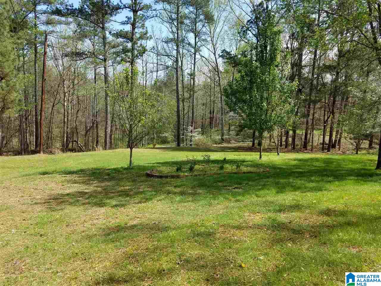 260 Scarum Creek Road Hayden, AL 35079 - Photo 11 of 21