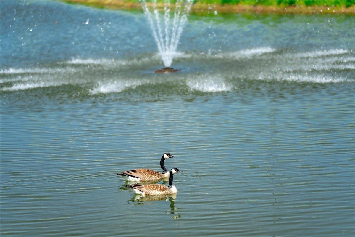 2229 Sharon Lane Hudson, WI 54016 - Photo 11 of 12