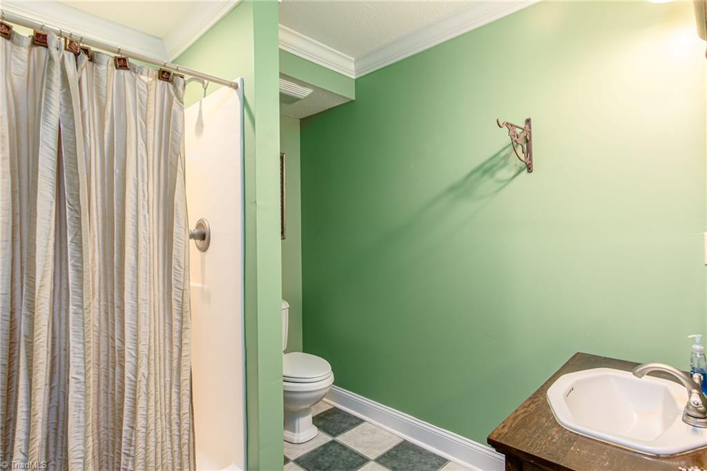 1409 Oak Ridge Road Kernersville, NC 27284 - Photo 16 of 37 Lower Level Full Bath
