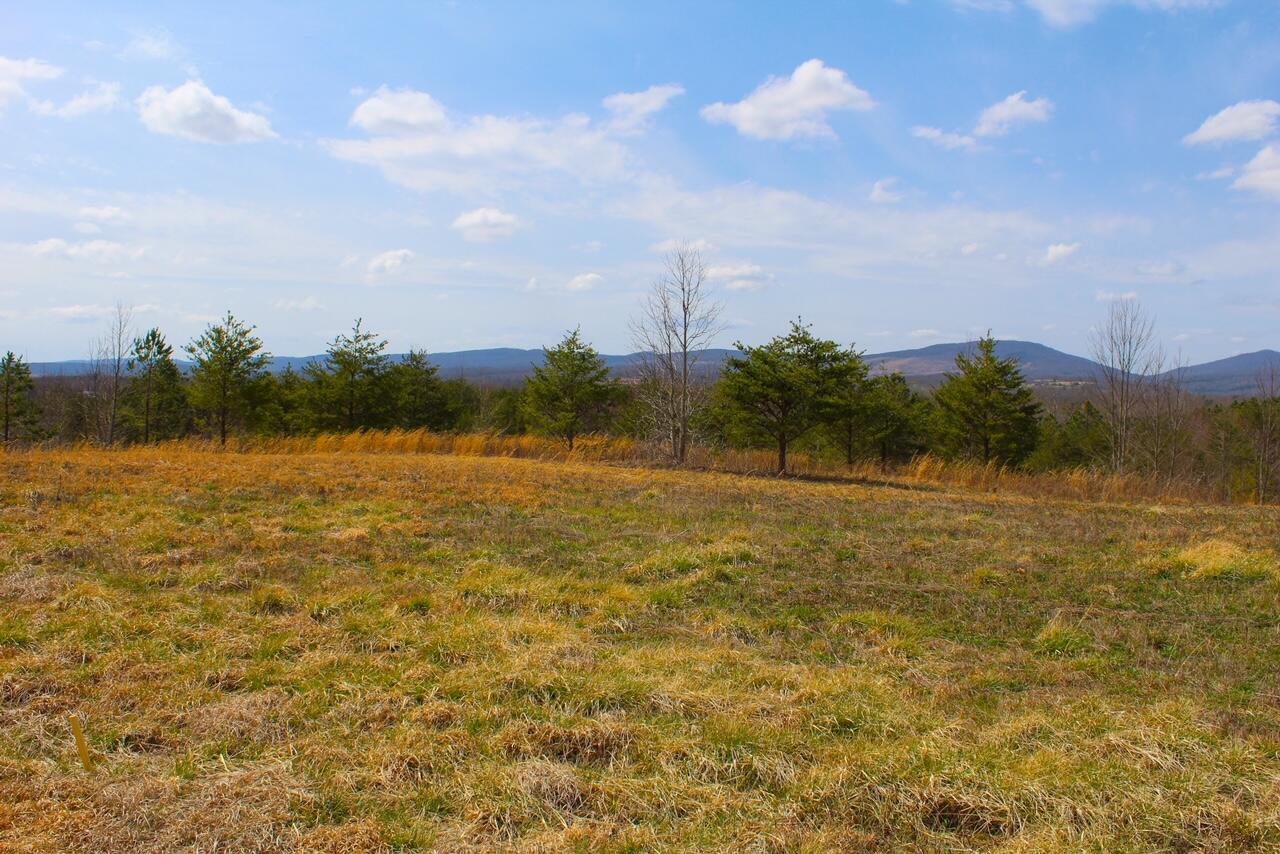 Lot 4 Tower Road Grandview, TN 37337 - Photo 7 of 11 IMG_0104