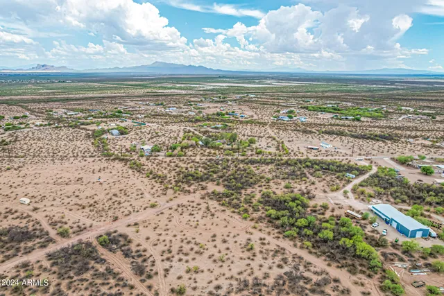a view of a dry yard with trees and stairs