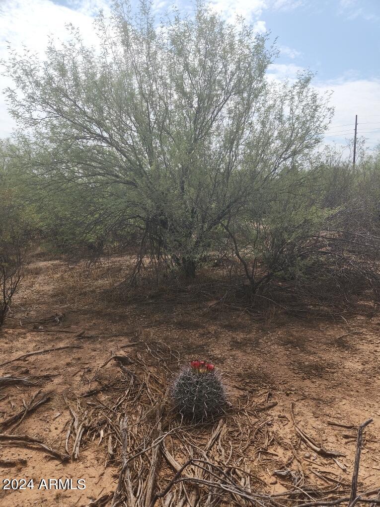 17847 West Husker Lane, Unit 8 Marana, AZ 85653 - Photo 18 of 20 a view of a dry yard with wooden fence