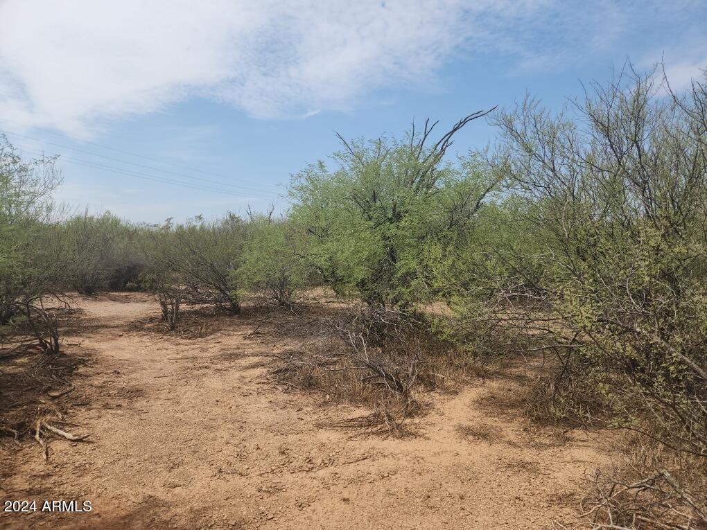 17847 West Husker Lane, Unit 8 Marana, AZ 85653 - Photo 19 of 20 a view of a dry yard with trees and stairs