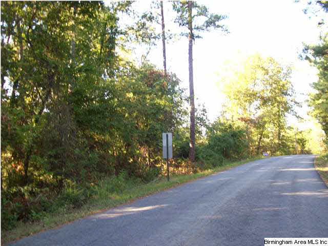 0 Haven Circle, Unit 40 Riverside, AL 35135 - Photo 2 of 3