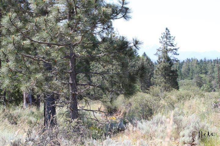 5389 West Side Road Cave Junction, OR 97523 - Photo 3 of 11 Additional Photo