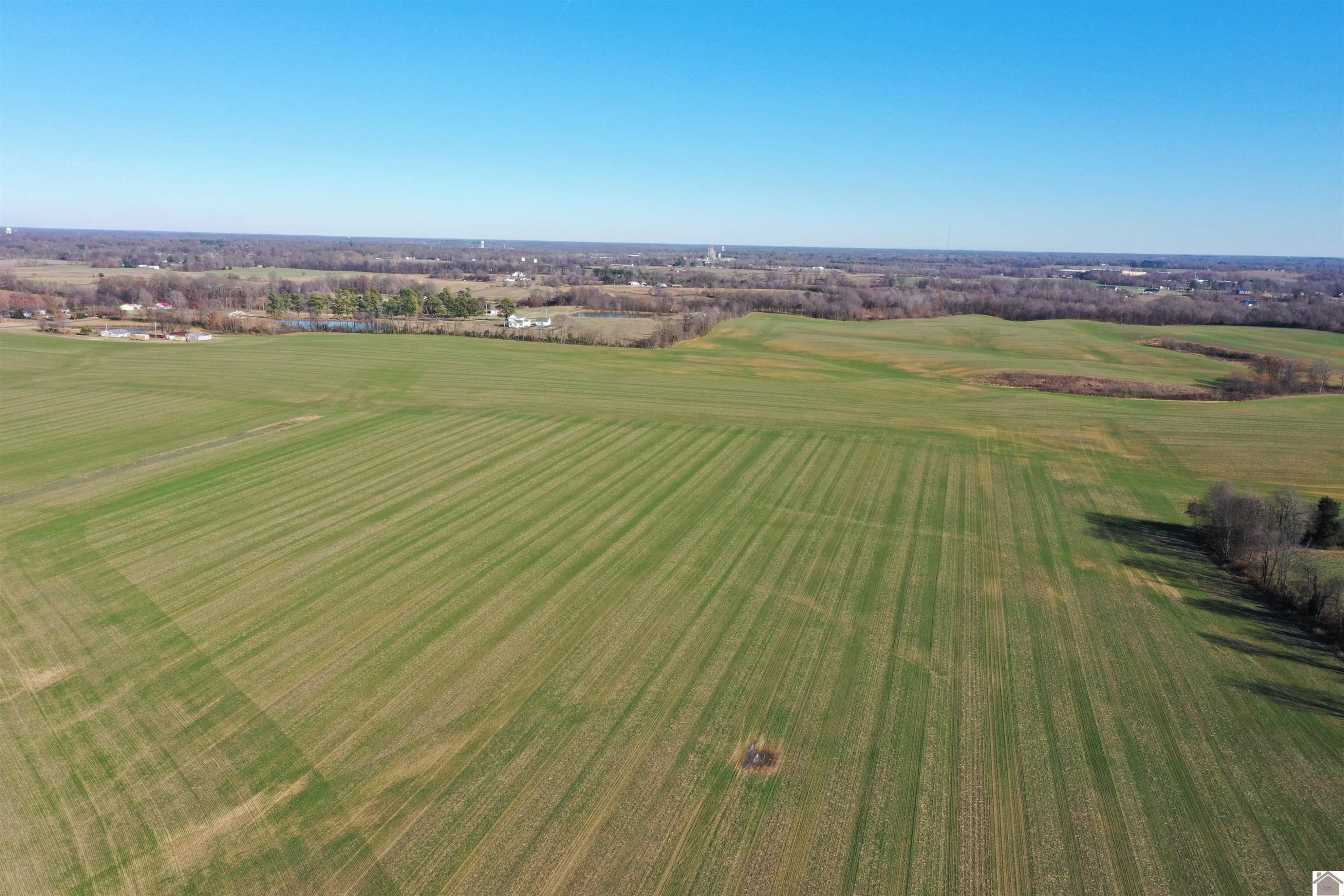 2323 Cardinal Road Mayfield, KY 42066 - Photo 2 of 23 Photo 2