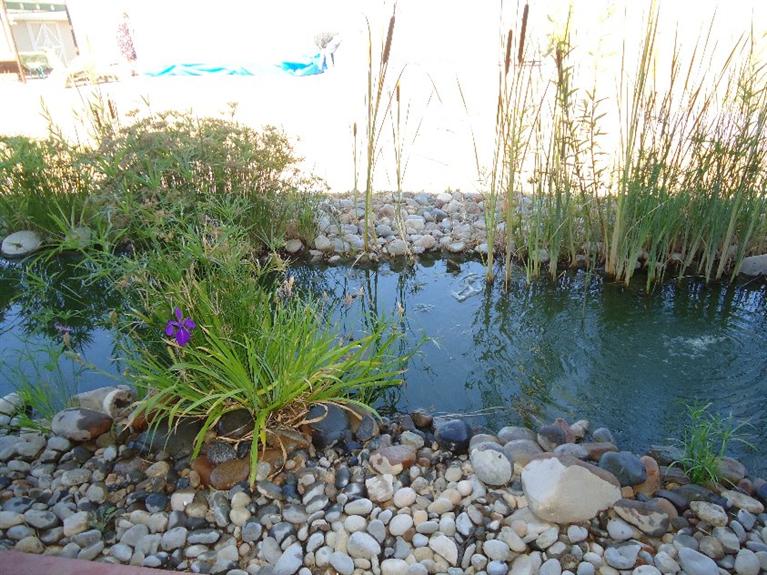 14636 Skyview Road Madera, CA 93636 - Photo 27 of 32 Gallery Image 27