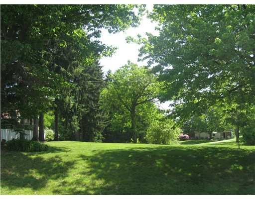 679 Goettman Street Rochester, PA 15074 - Photo 9 of 17 Yard/Garden.