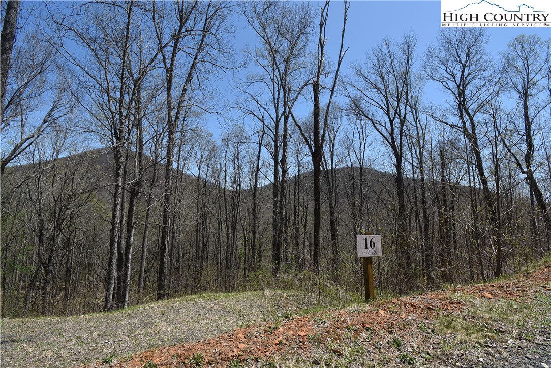 16 Pinnacle Ridge Road Todd, NC 28684 - Photo 6 of 9 Gallery Image 6