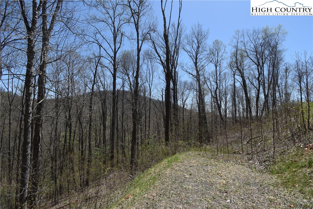 16 Pinnacle Ridge Road Todd, NC 28684 - Photo 7 of 9 Gallery Image 7