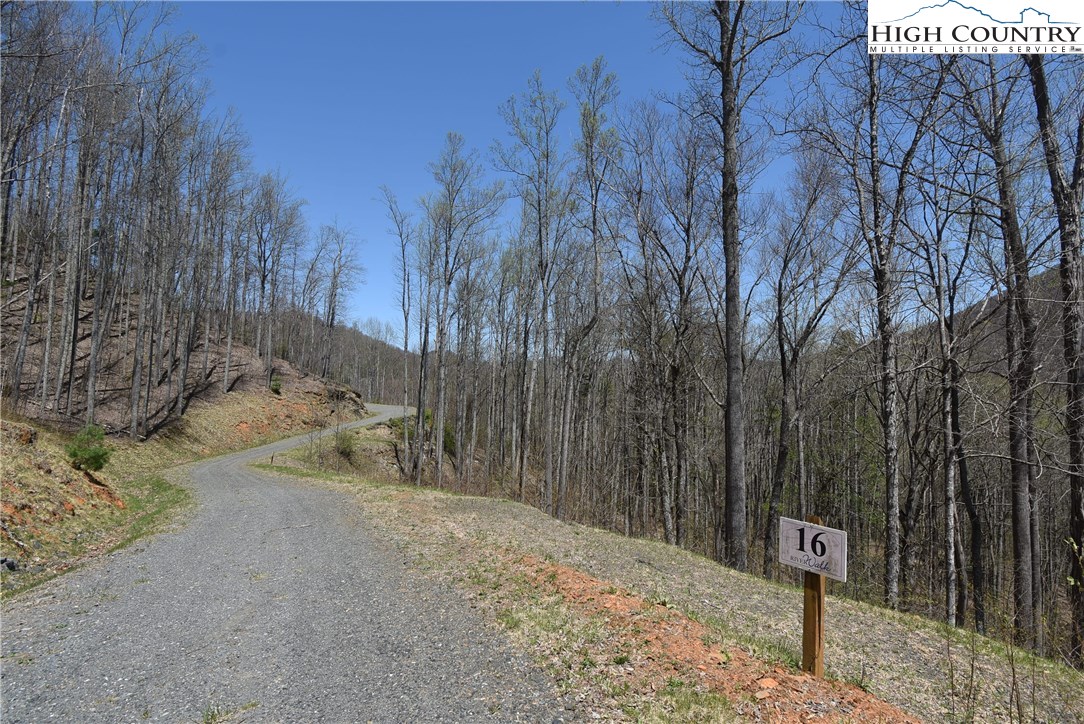 16 Pinnacle Ridge Road Todd, NC 28684 - Photo 8 of 9 Gallery Image 8