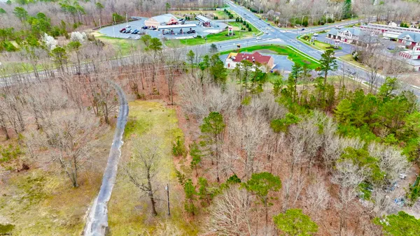 a bird view of a garden