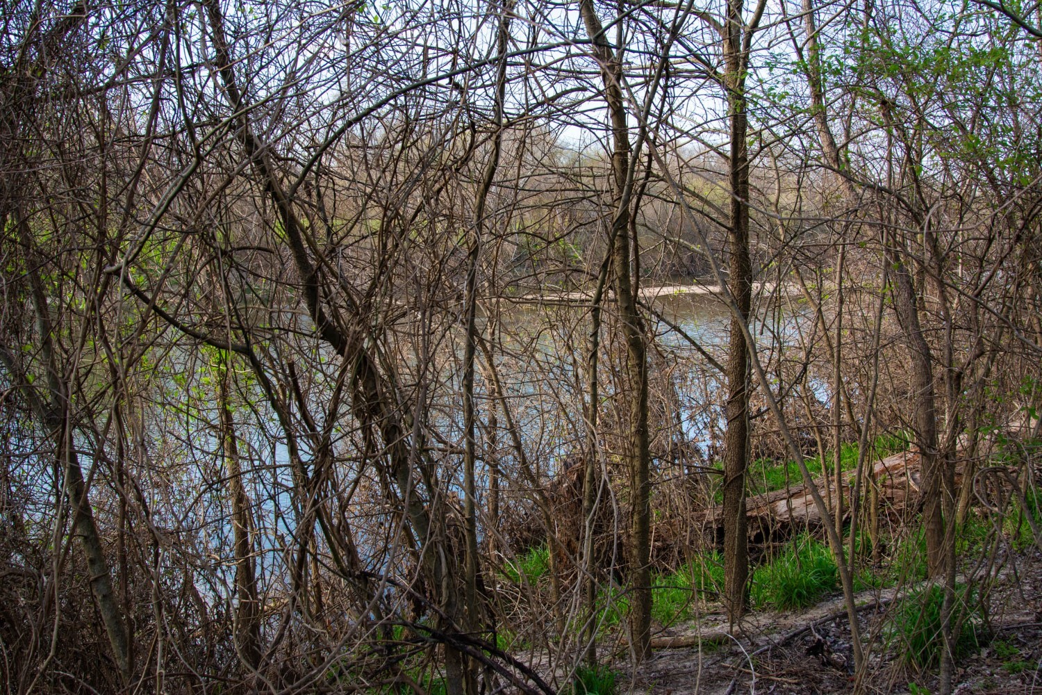 2940 Rabbs Prairie Road La Grange, TX 78945 - Photo 31 of 39 a backyard of a house with lots of green space