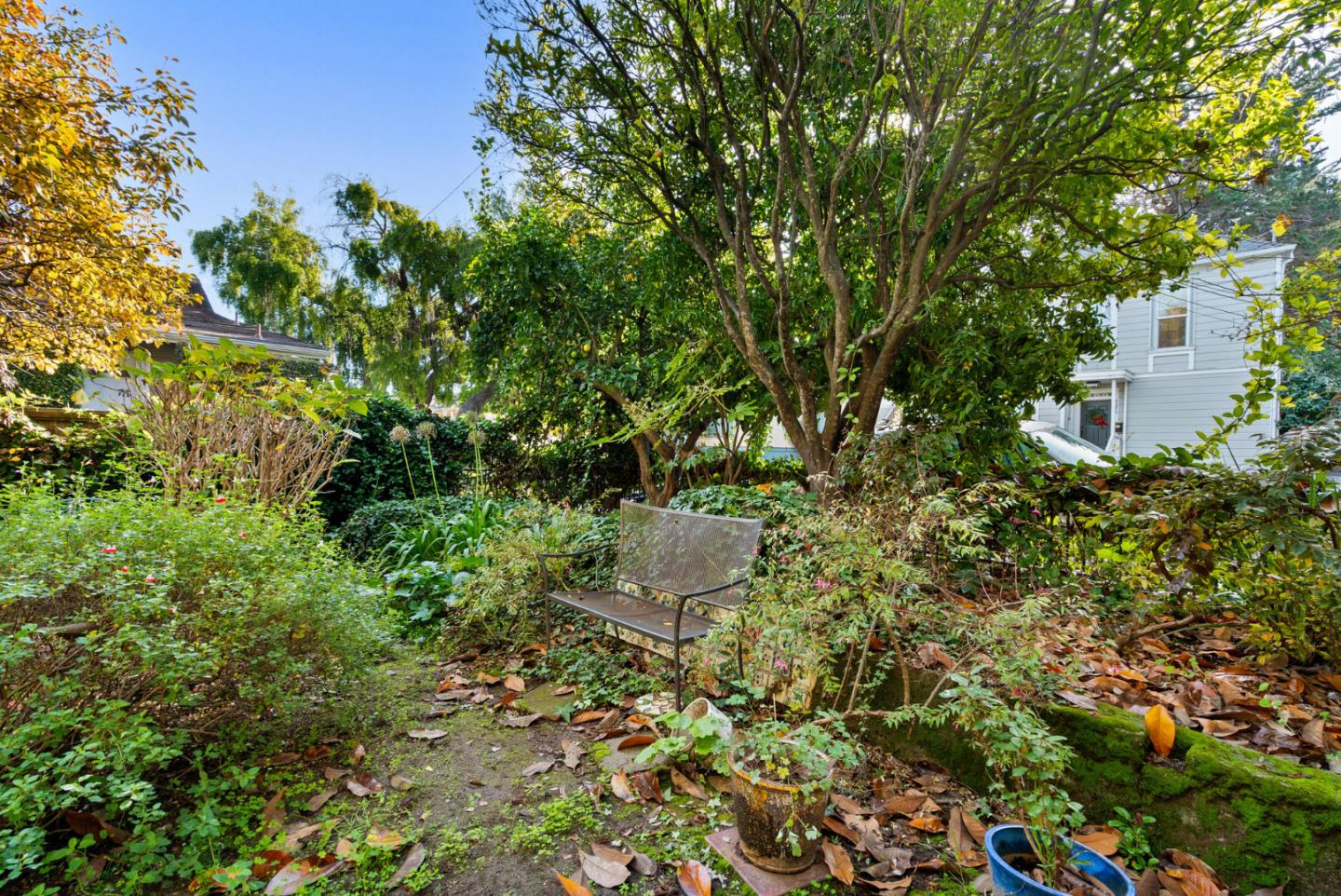 312 Elm Street Santa Cruz, CA 95060 - Photo 52 of 53