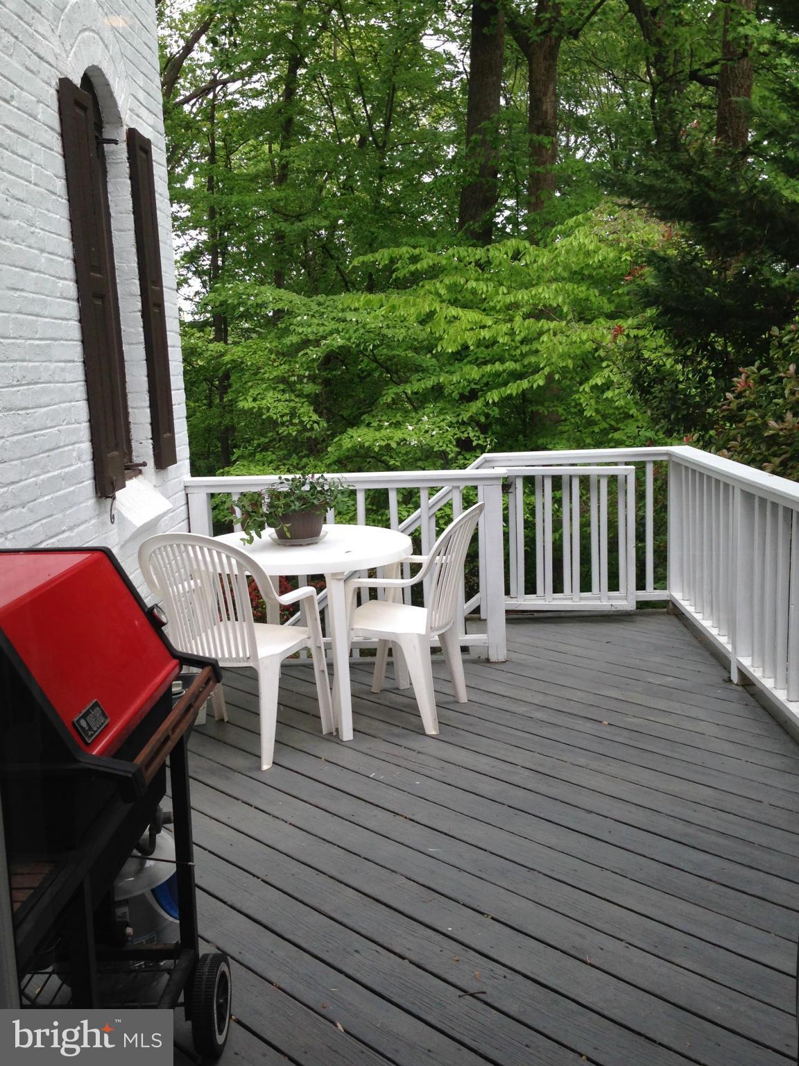 3109 Rolling Road Chevy Chase, MD 20815 - Photo 25 of 30 Deck
