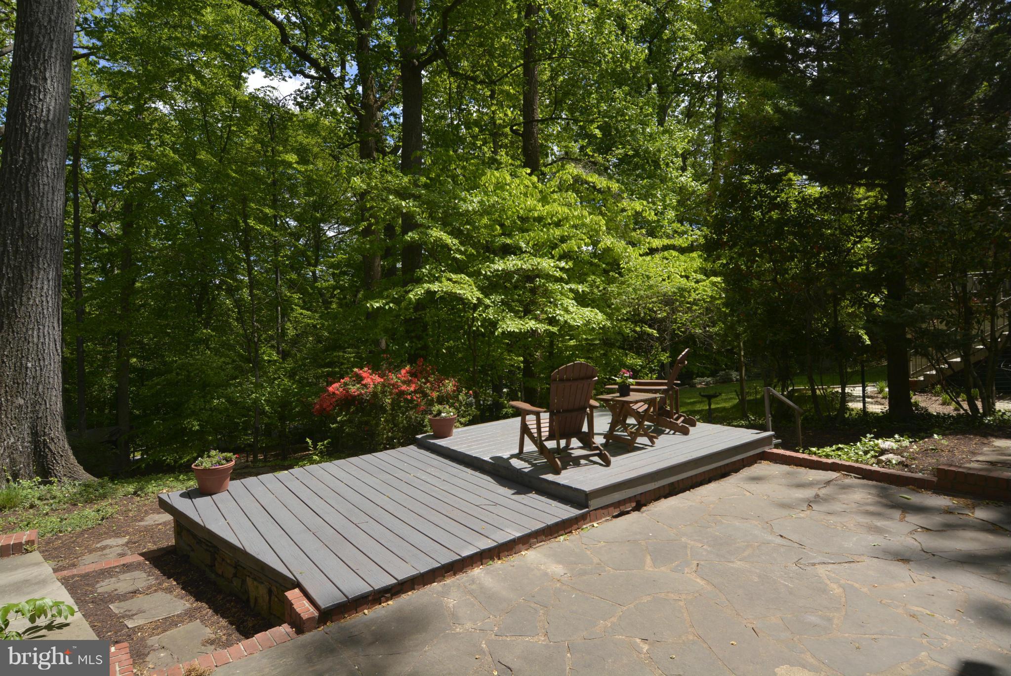 3109 Rolling Road Chevy Chase, MD 20815 - Photo 26 of 30 Main Level Patio