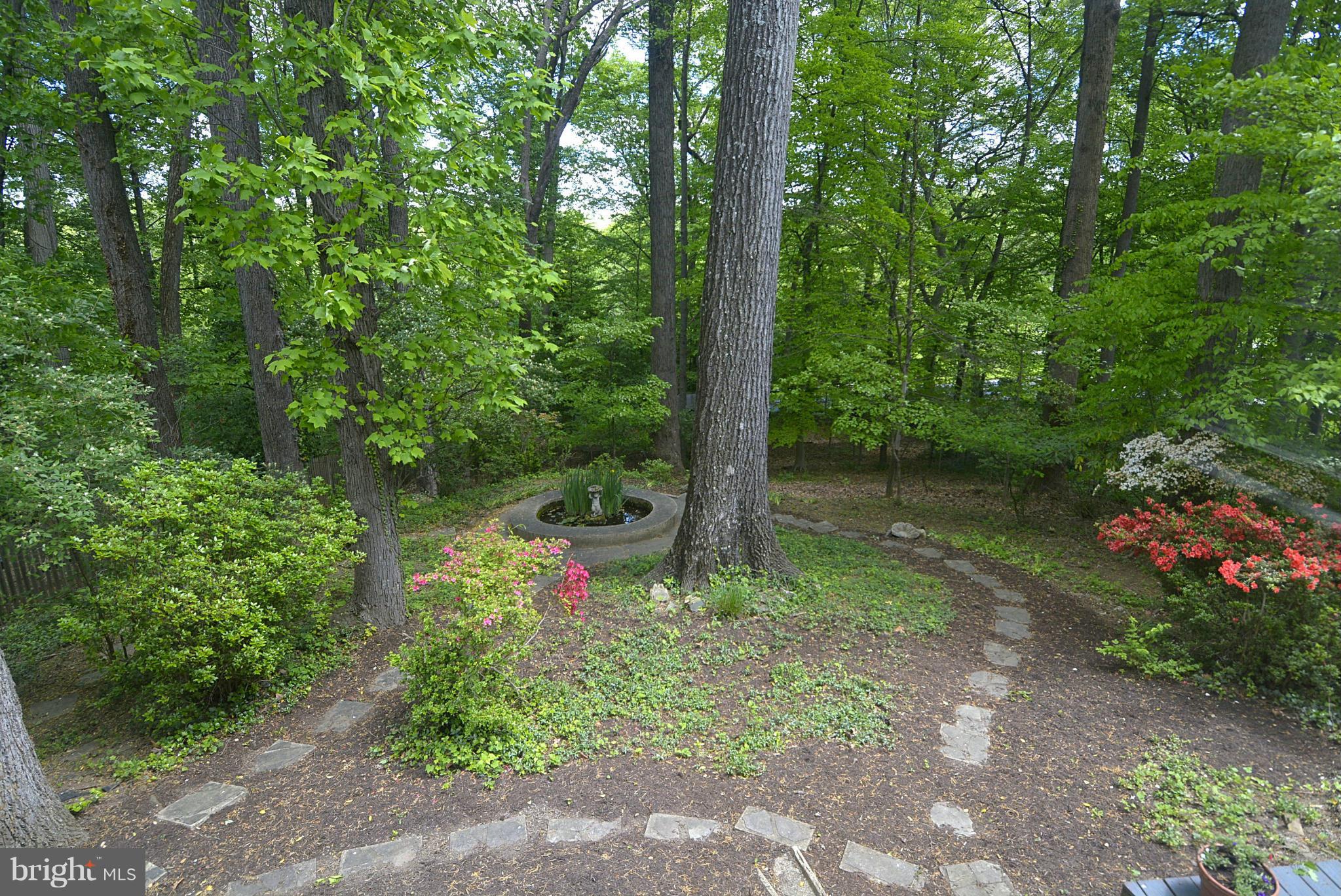 3109 Rolling Road Chevy Chase, MD 20815 - Photo 27 of 30 Exterior (Rear)