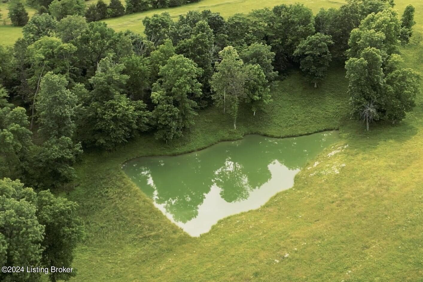 0 Timber Creek Road, Unit TRACT B Bloomfield, KY 40008 - Photo 4 of 18 pond aerial