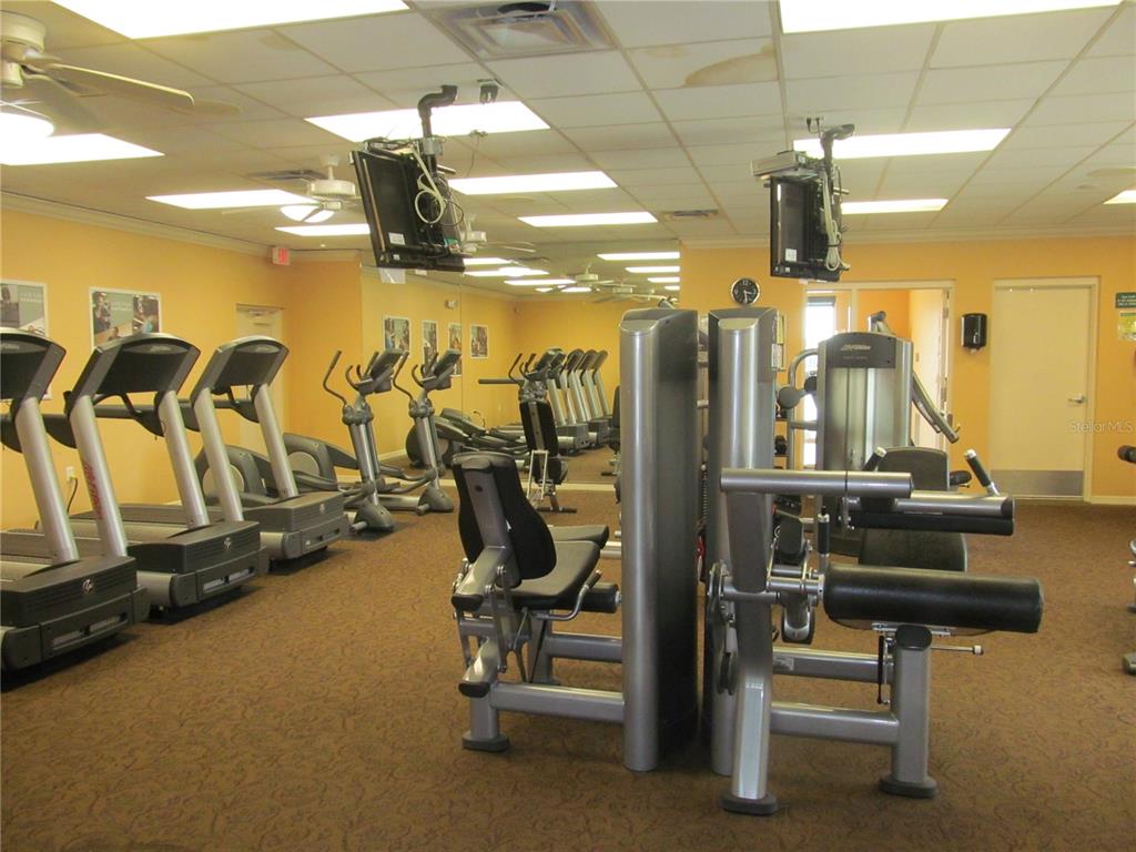 6713 Stone River Road, Unit 203 Bradenton, FL 34203 - Photo 41 of 59