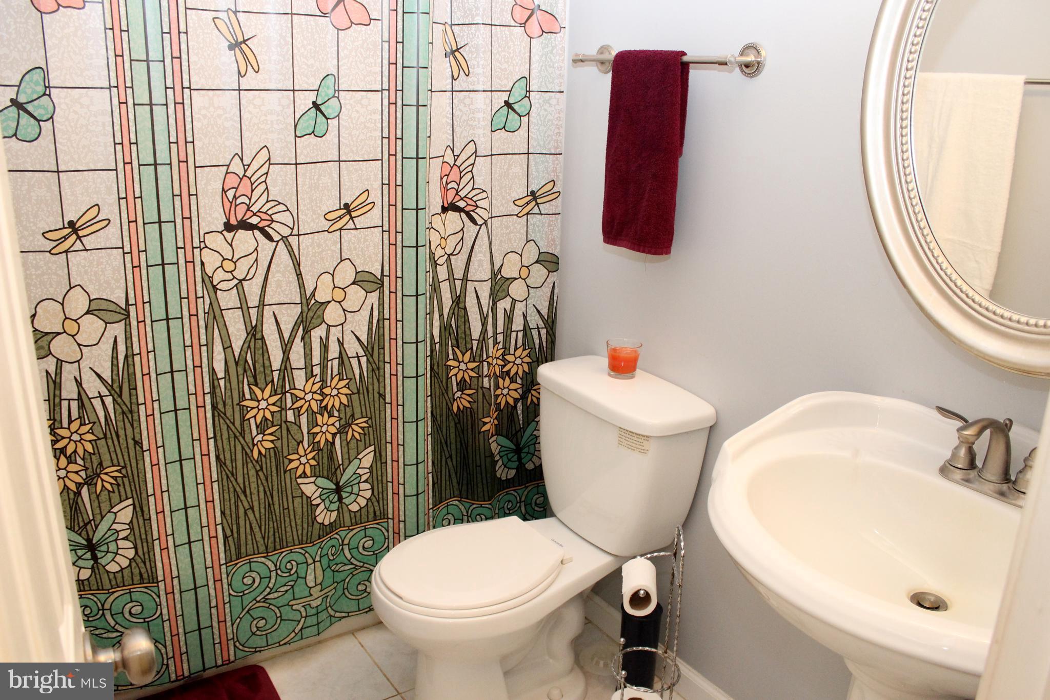10311 River Road Rixeyville, VA 22737 - Photo 21 of 30 Bath