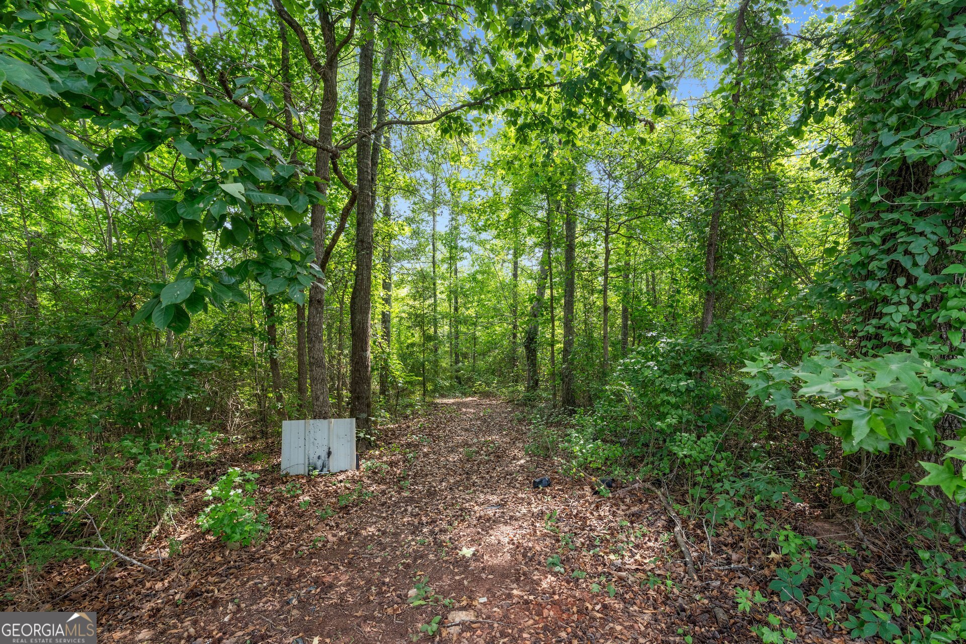 1374 Clem Lowell Road Carrollton, GA 30116 - Photo 15 of 17