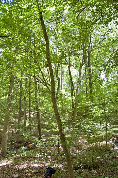 490 Haden Grove Church Road Linwood, NC 27299 - Photo 5 of 11 Gallery Image 5
