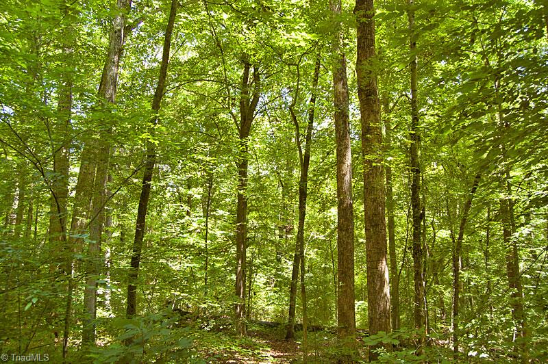 490 Haden Grove Church Road Linwood, NC 27299 - Photo 8 of 11 Gallery Image 8