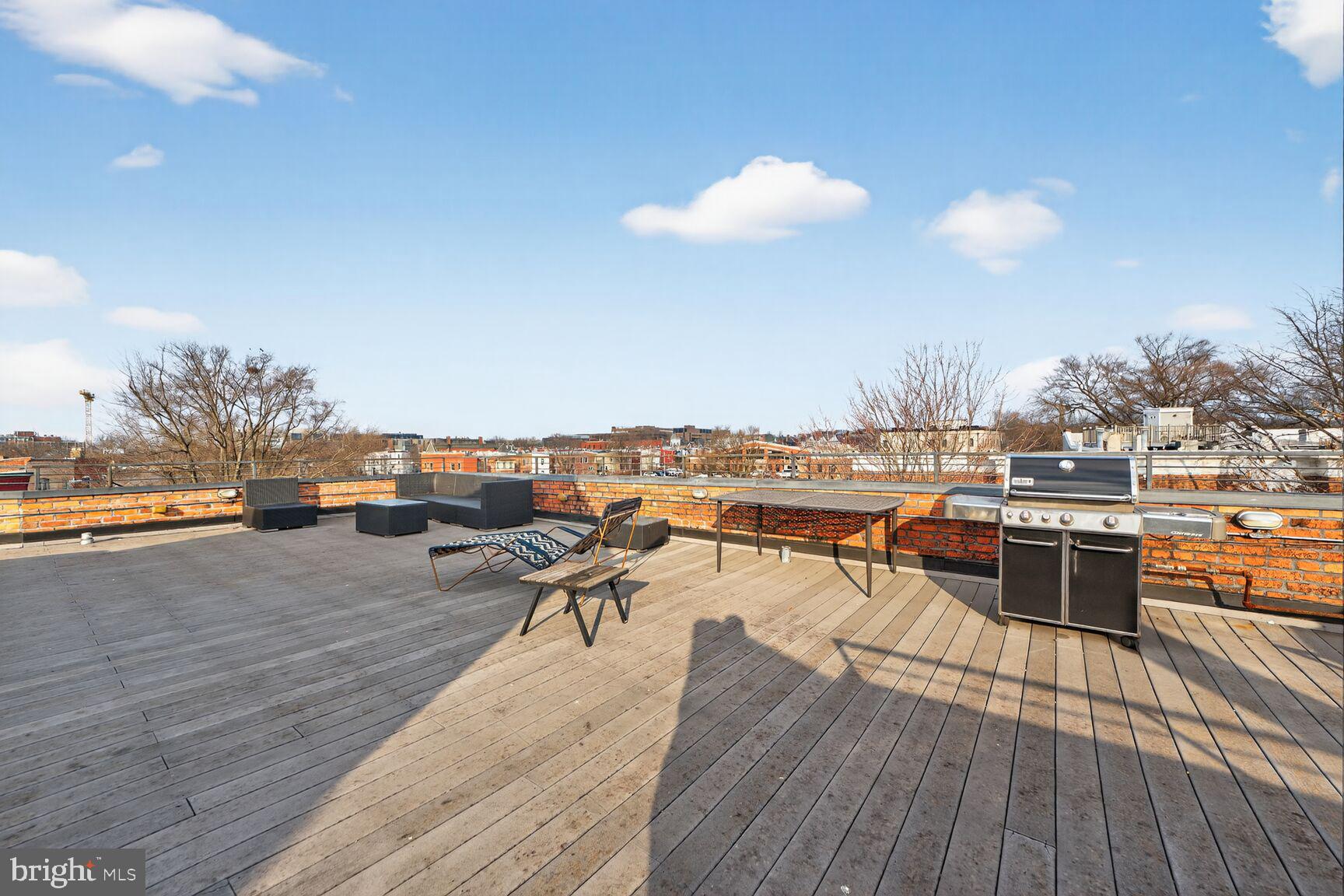 249 Florida Avenue Northwest, Unit 23 Washington, DC 20001 - Photo 11 of 13 Rooftop with BBQ