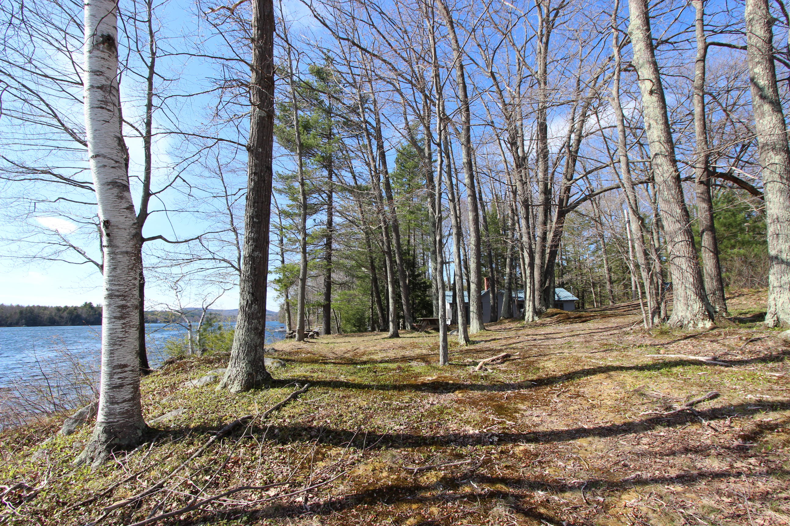 289 Gibbs Mill Road Livermore, ME 04253 - Photo 15 of 38 IMG_2375
