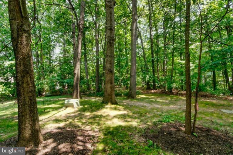 11857 Dunlop Court Reston, VA 20191 - Photo 20 of 28 Exterior (Rear)