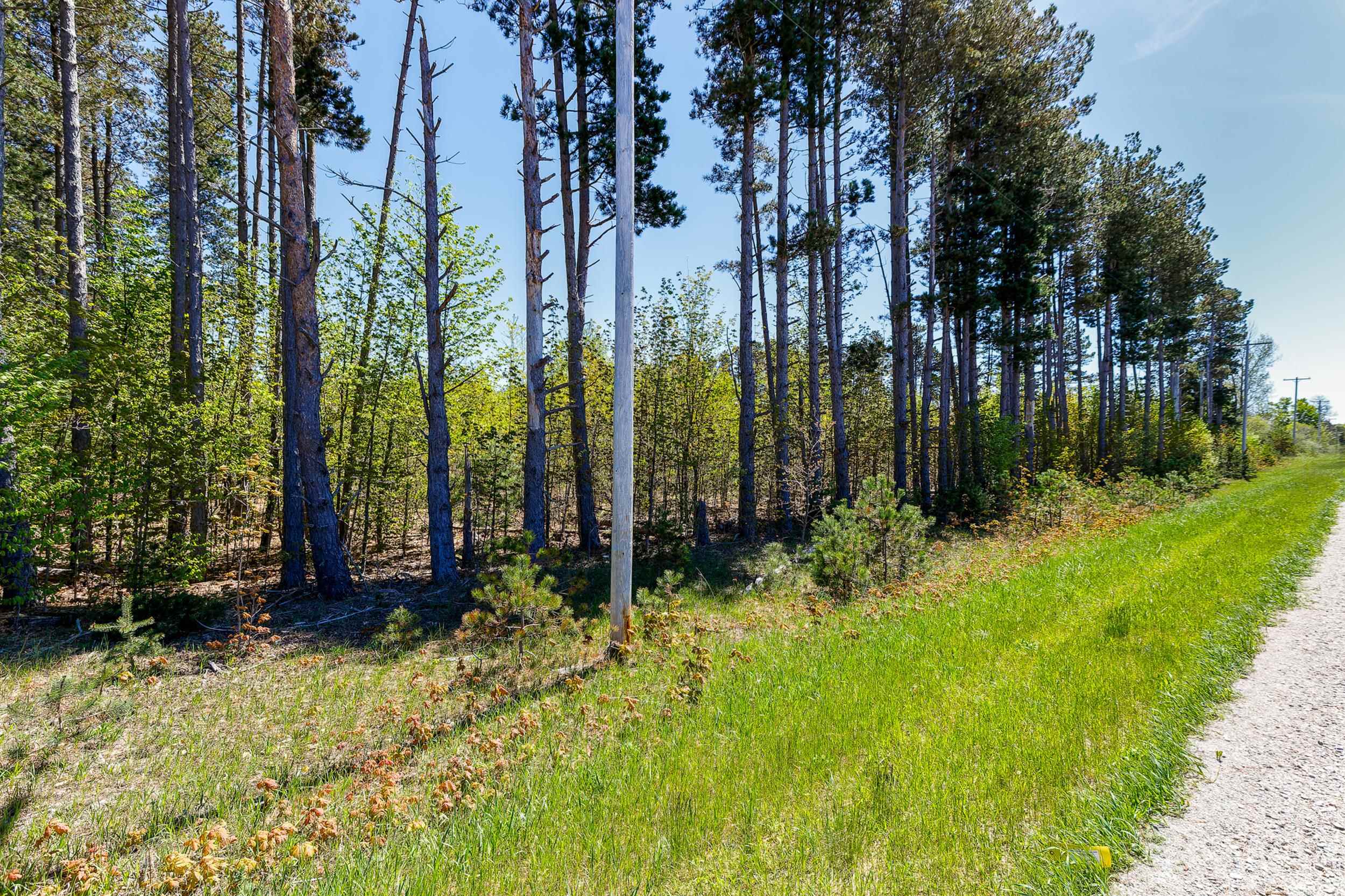 3219 Nugent Road Frankfort, MI 49635 - Photo 8 of 15