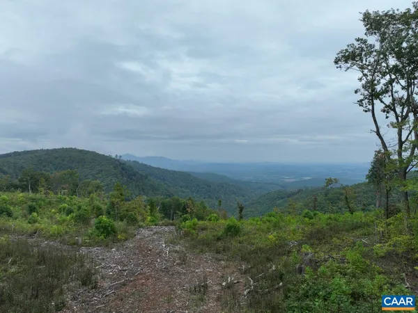 a view of a field of grass and trees