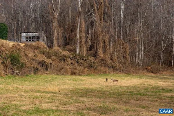 a view of a garden with a fountain