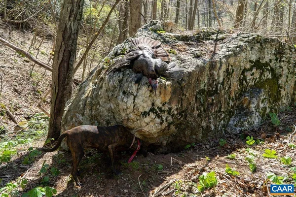 $1,695,000 | 0 Foothills Road, Callaway, VA 24067