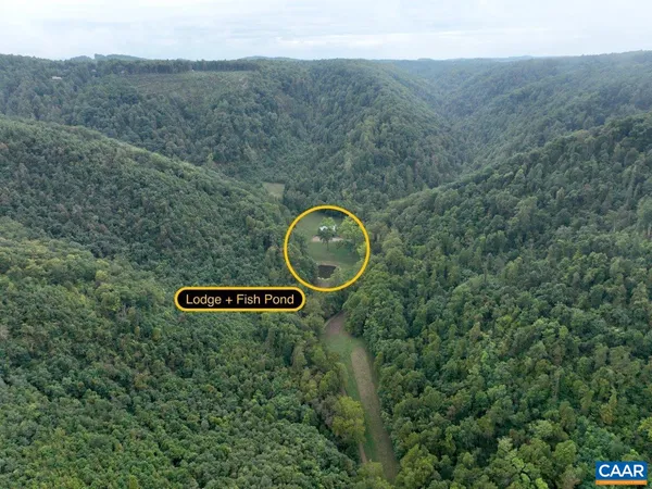 a view of a lush green forest with a mountain