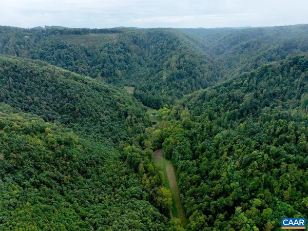a view of a lush green forest with a mountain