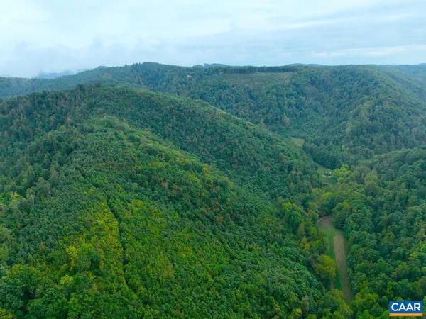 a view of city with lush green forest
