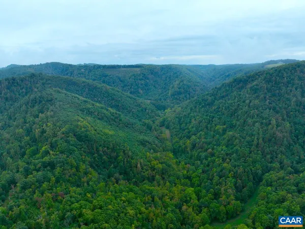 a view of a field with an ocean