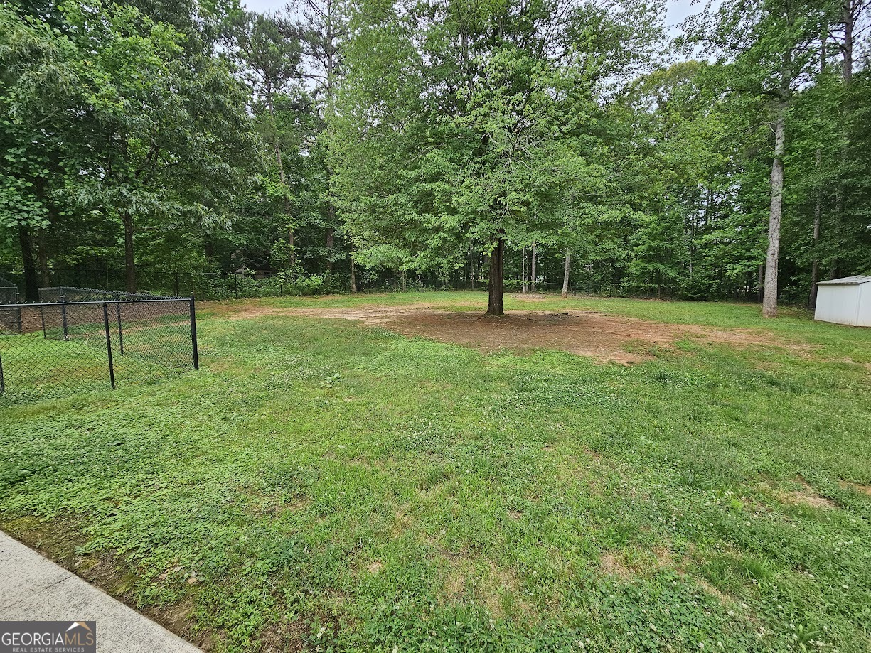 65 Tralee Trace Sharpsburg, GA 30277 - Photo 20 of 21 a view of a park with a tree