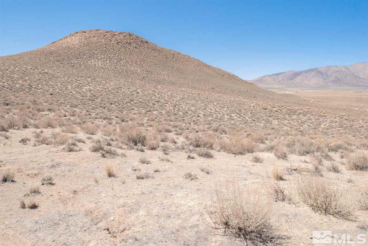 20815 Pyramid Way Reno, NV 89510 - Photo 27 of 39 Photo 28