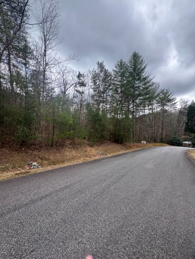 16 R Leatherwood Mountain Road Cherry Log, GA 30522 - Photo 10 of 13 Gallery Image 10