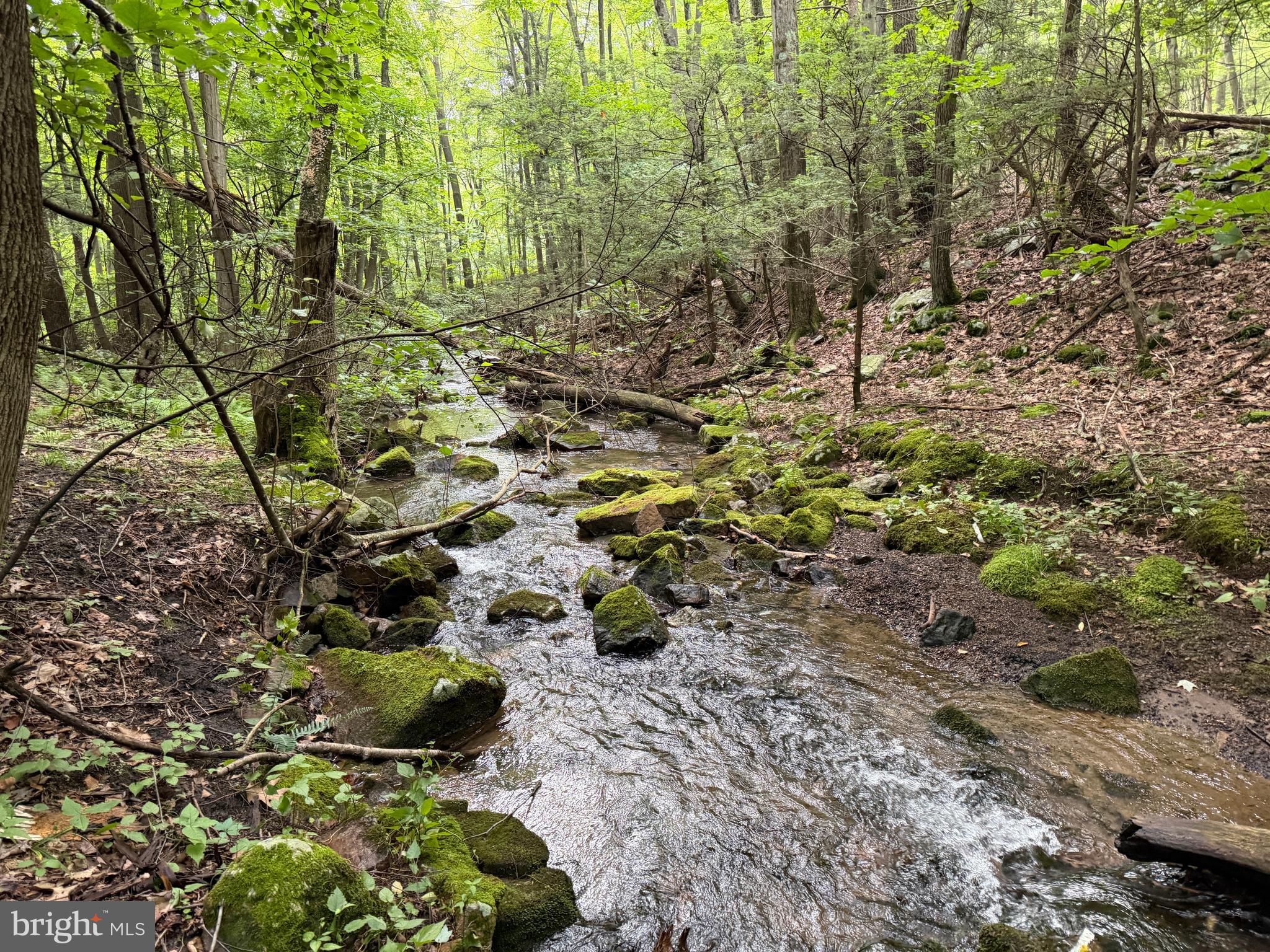 Three Laurel Mountain Road Three Springs, PA 17264 - Photo 3 of 74 Gallery Image 3