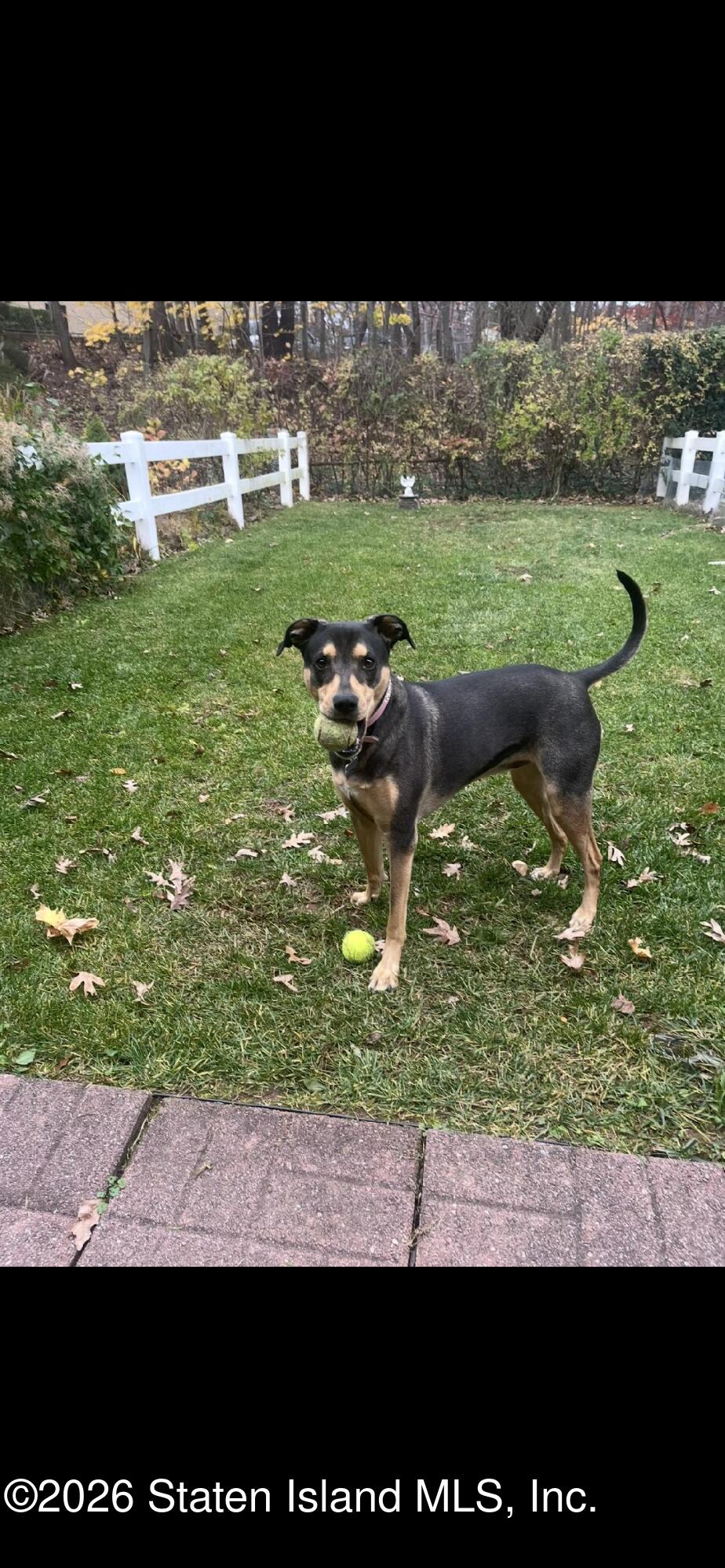 116 Windham Loop Staten Island, NY 10314 - Photo 24 of 25 116 Windham Loop