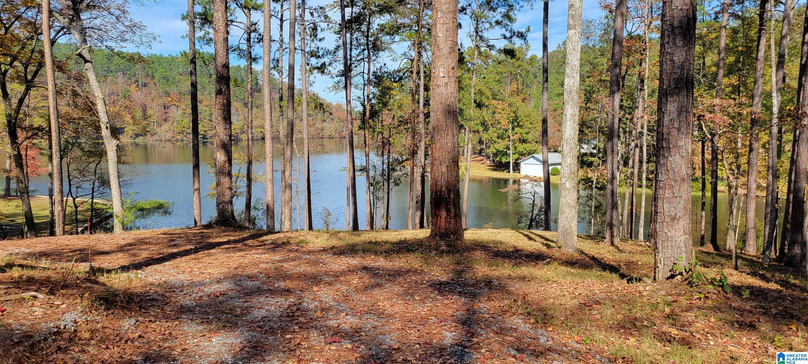 1830 Mimosa Point Road, Unit 1 Rockford, AL 35136 - Photo 7 of 24
