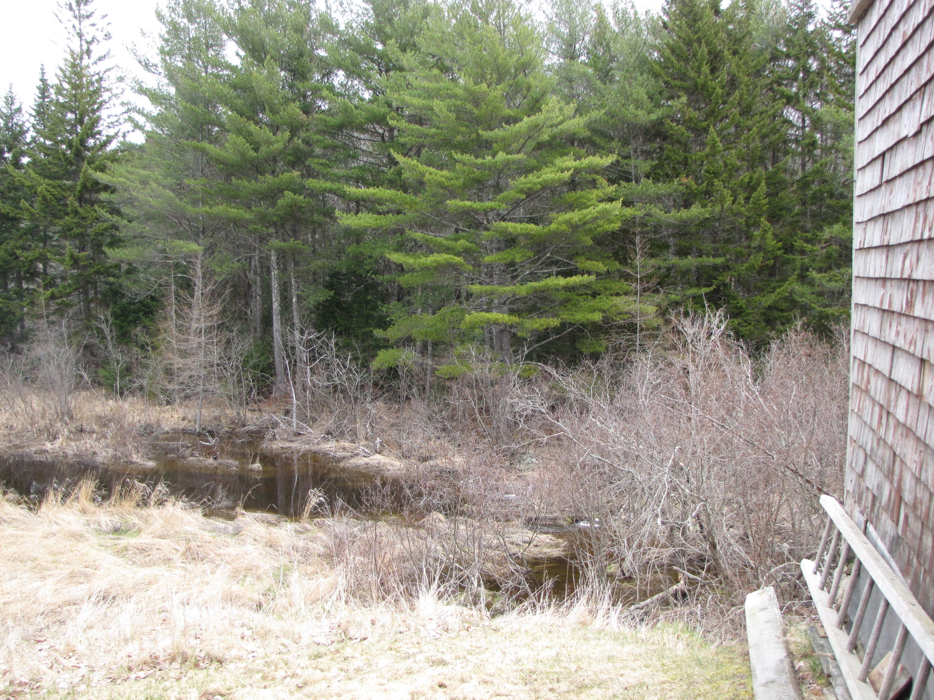 430 West Kennebec Road Machias, ME 04654 - Photo 17 of 17 IMG_0092