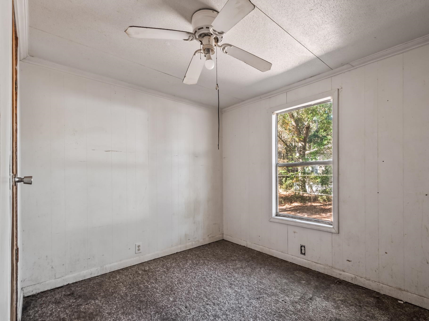 28 Allen Street Sopchoppy, FL 32358 - Photo 9 of 40