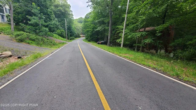 a view of a yard with potted plants