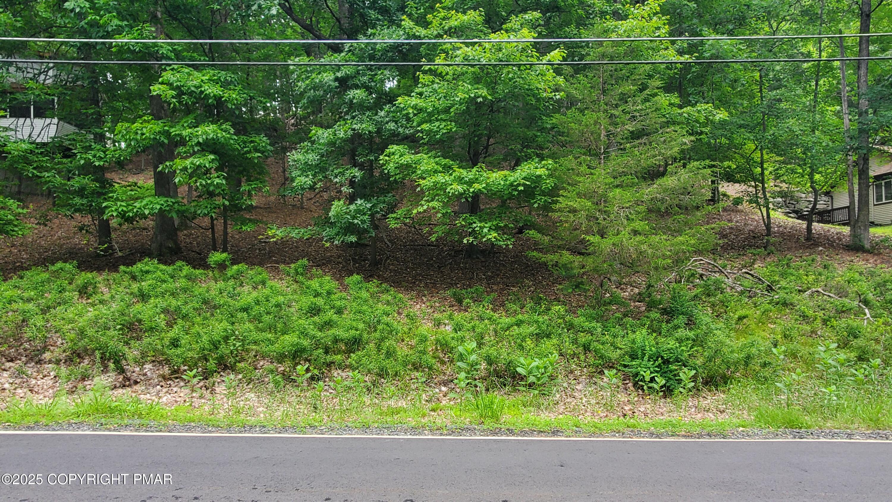 1895 Stafford Drive Bushkill, PA 18324 - Photo 5 of 12 a picture of a yard