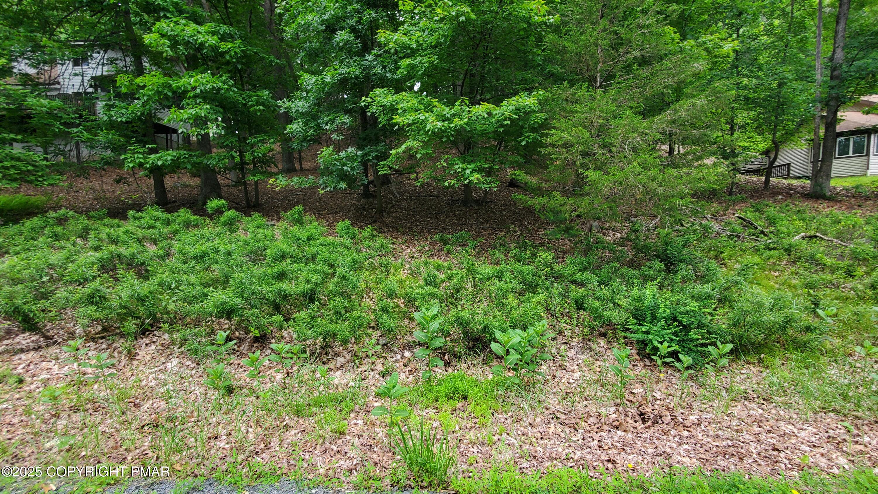 1895 Stafford Drive Bushkill, PA 18324 - Photo 6 of 12 a view of a yard