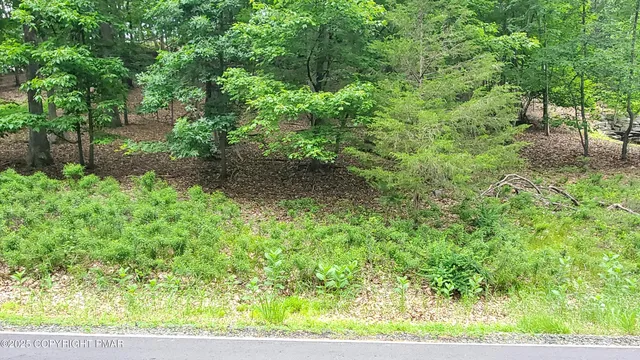 a view of a yard with plants and a bench